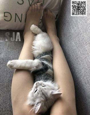 婷婷五月激情在线视频_BD版国语迅雷下载